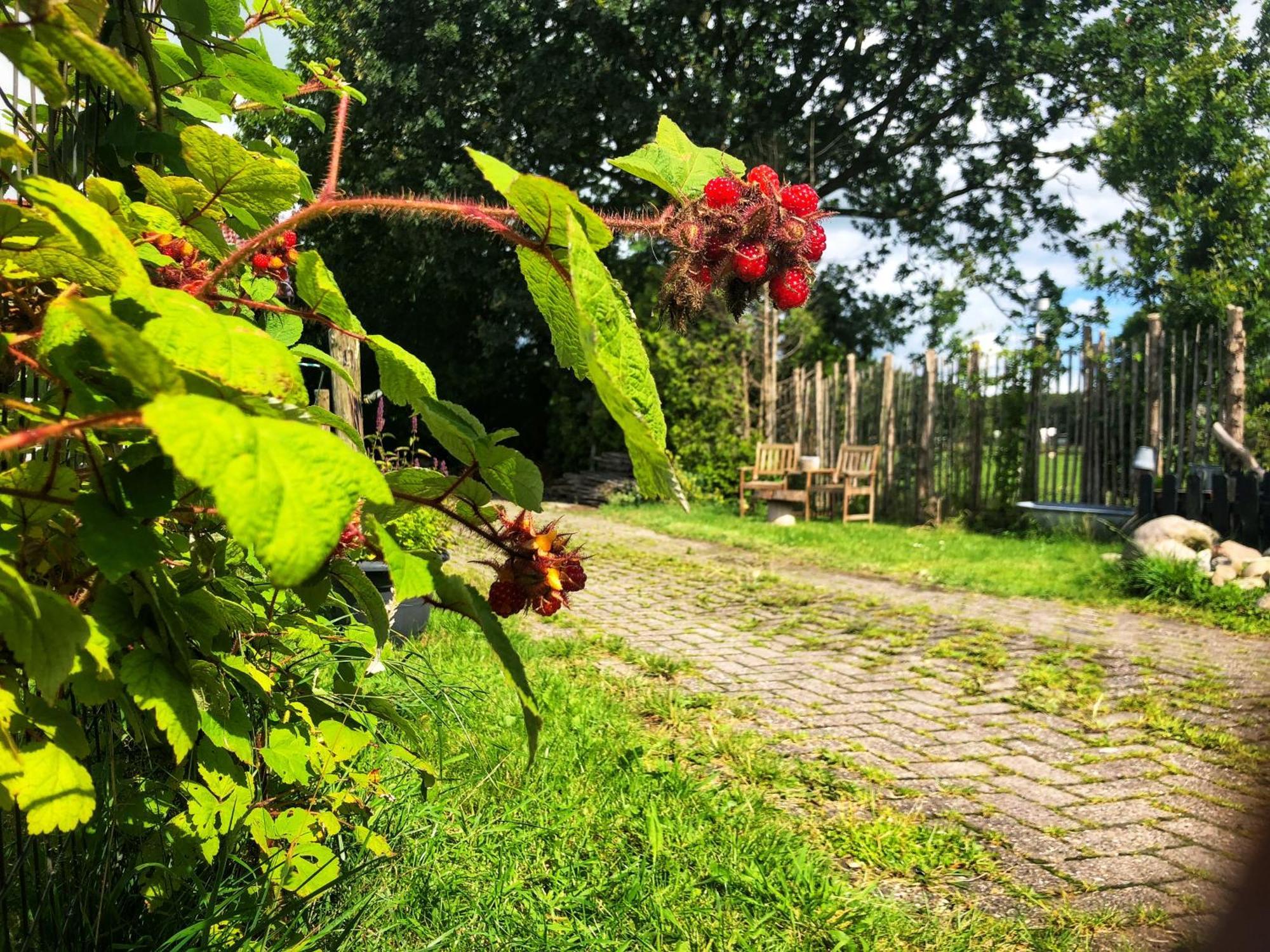 B&B Zandhuizen Εξωτερικό φωτογραφία